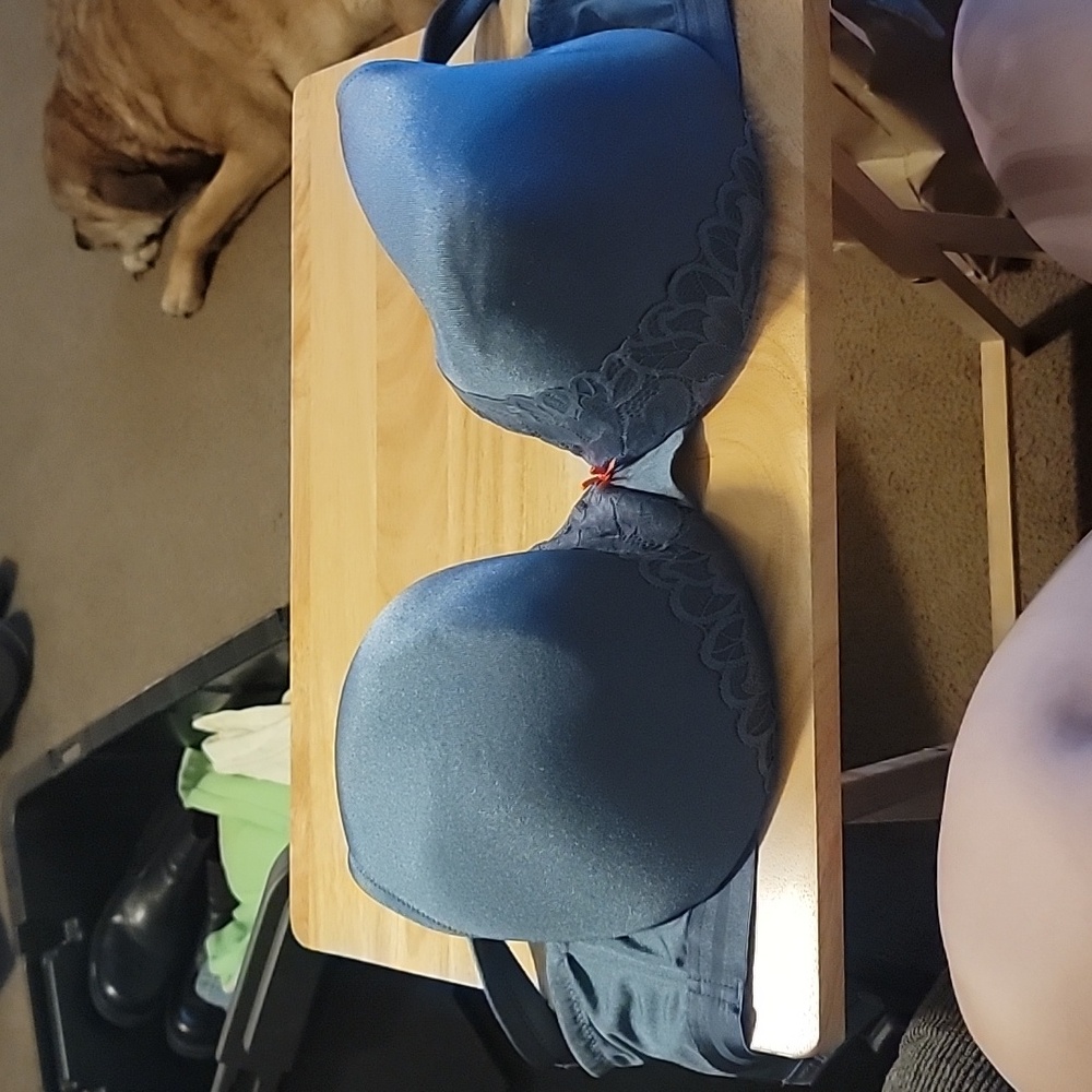 Cacique never worn bra size 40G